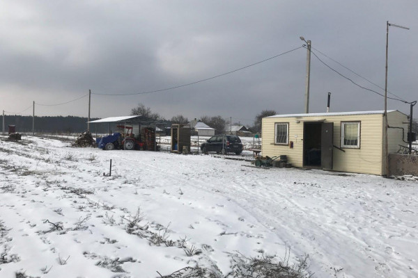 Ягодное хозяйство по выращиванию малины